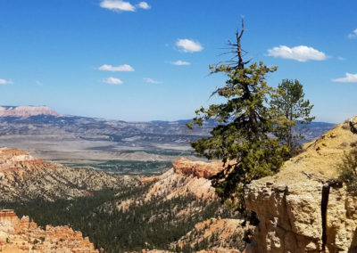 bryce canyon, untah red cliffs