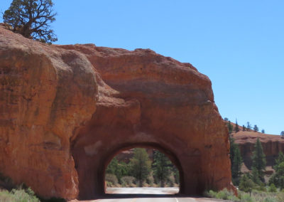 bryce canyon arch over road