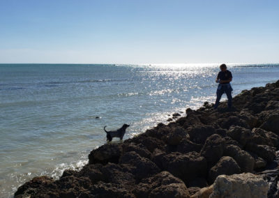 sun shines on the atlantic in key west with man and dog