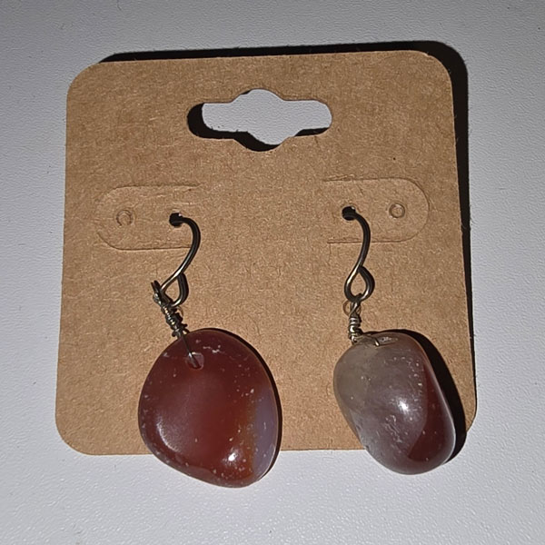Brown Earrings #1